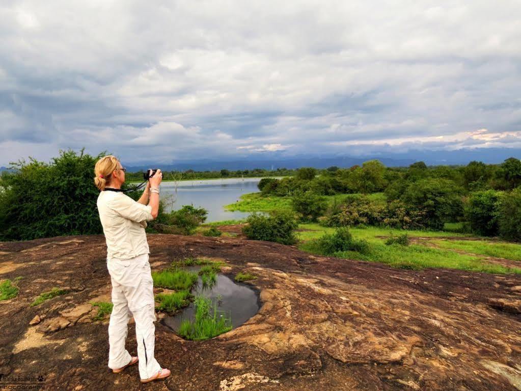 Mahoora Tented Safari Camp Udawalawe Bagian luar foto