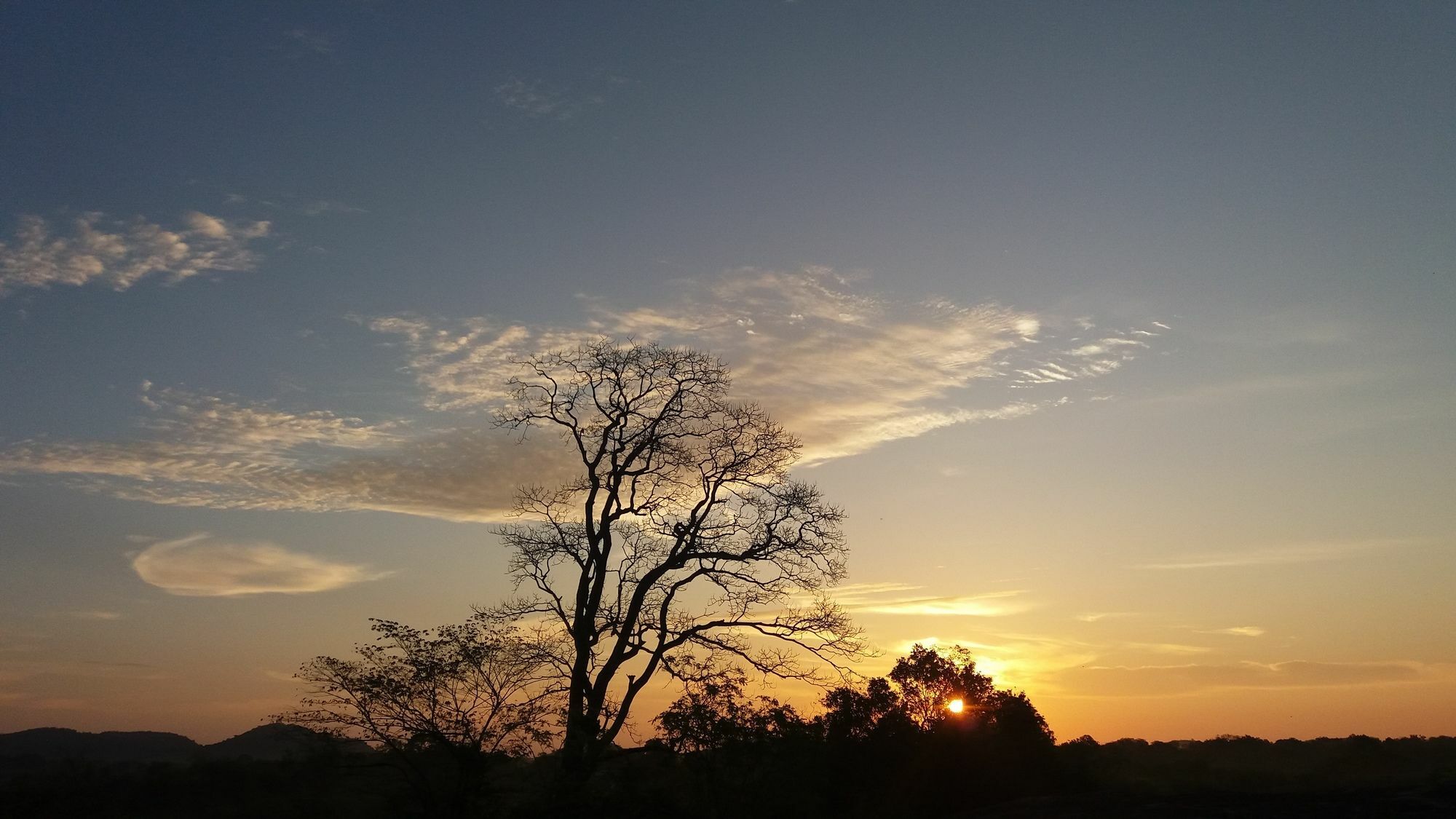 Mahoora Tented Safari Camp Udawalawe Bagian luar foto