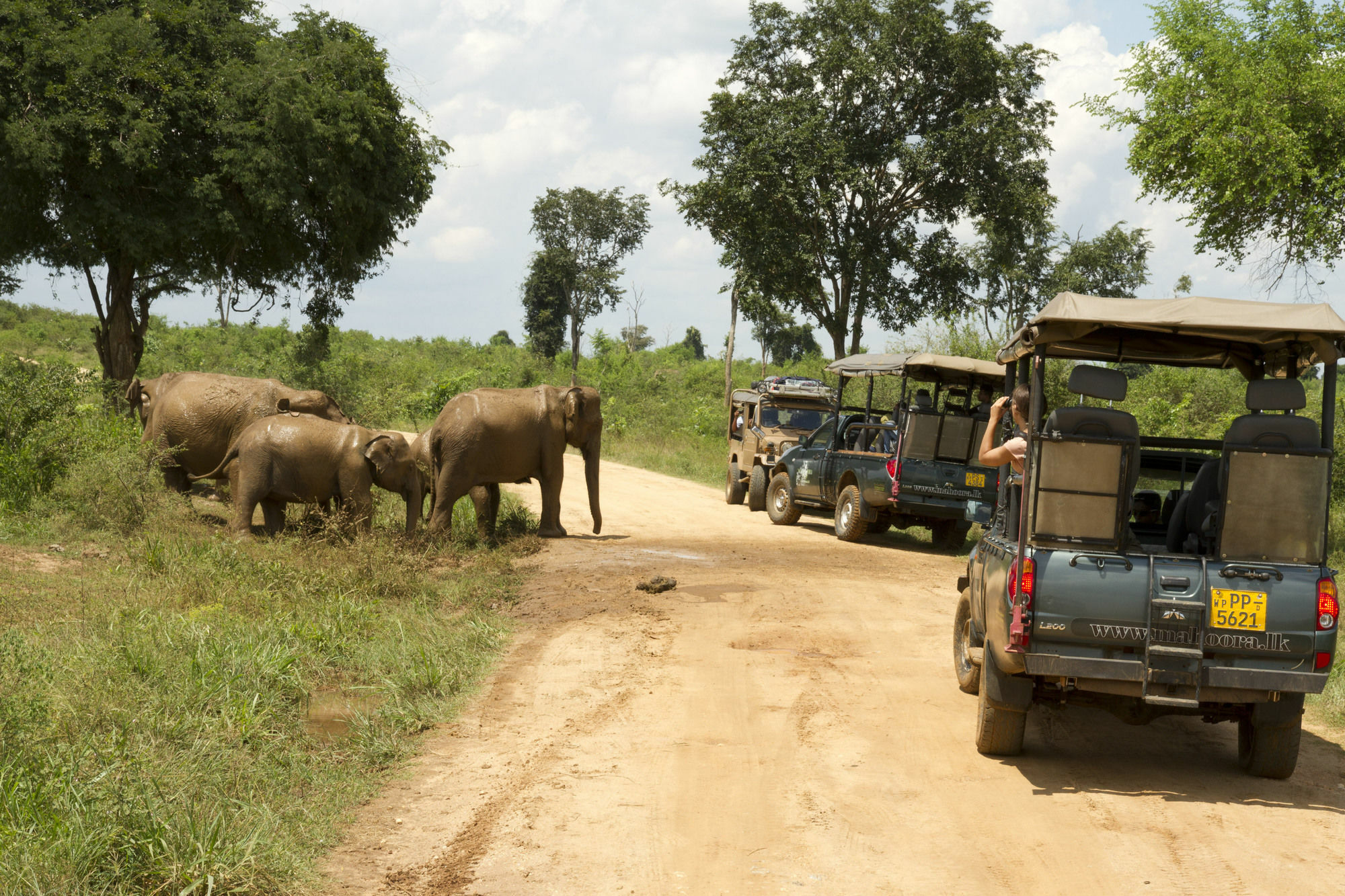 Mahoora Tented Safari Camp Udawalawe Bagian luar foto