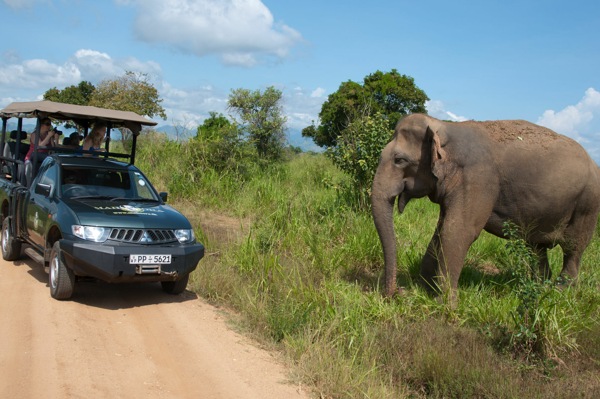 Mahoora Tented Safari Camp Udawalawe Bagian luar foto