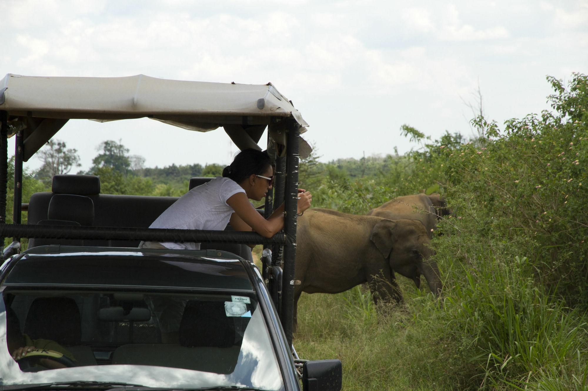Mahoora Tented Safari Camp Udawalawe Bagian luar foto