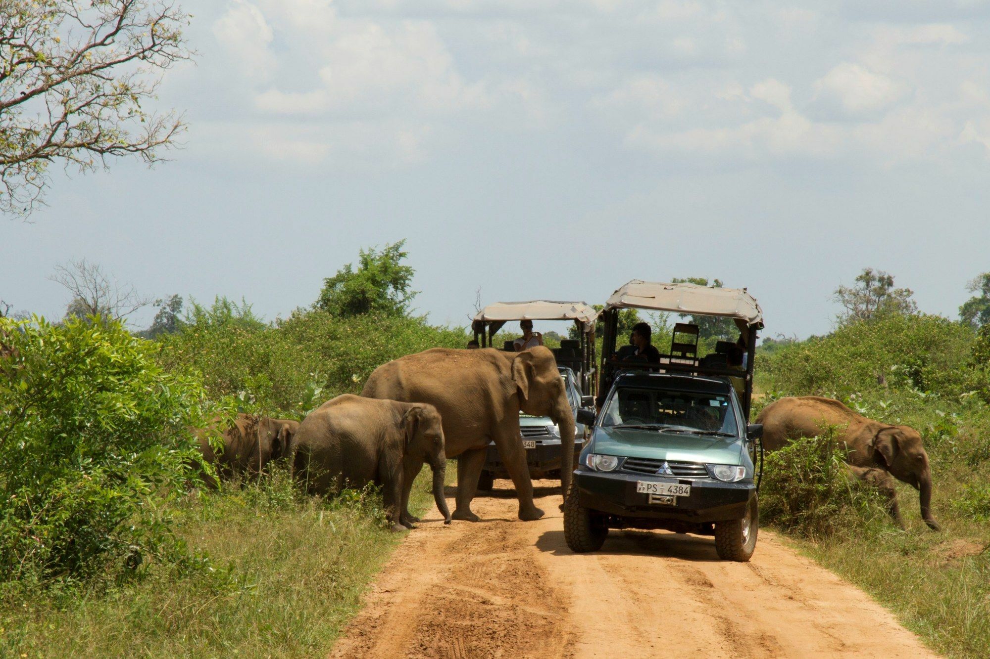 Mahoora Tented Safari Camp Udawalawe Bagian luar foto