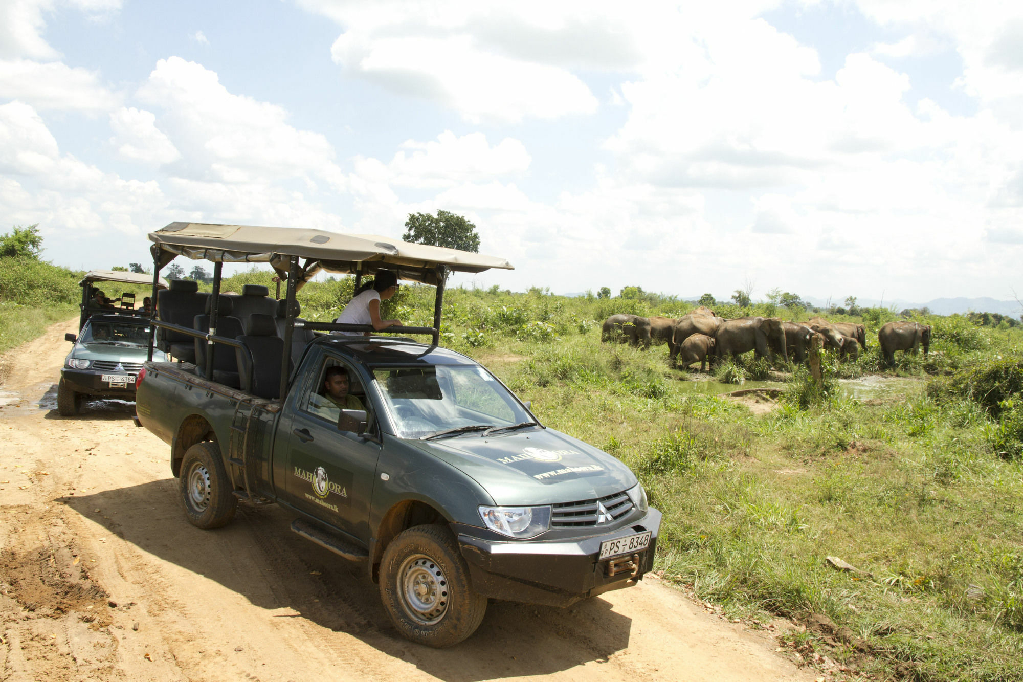 Mahoora Tented Safari Camp Udawalawe Bagian luar foto